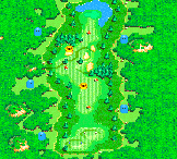Hole 14 of the Star Marion Course from Mario Golf: Advance Tour