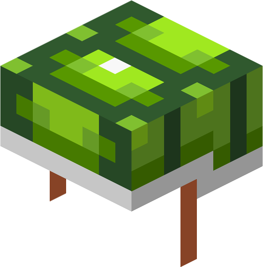 File:Minecraft Mario Mash-Up Turtle Shell Render.png