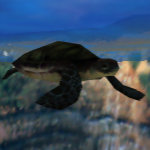 File:MAPaintStudio 3DW Turtle.png