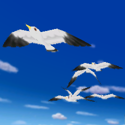 File:MKDD Seagulls.png
