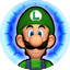 Luigi Reversal of Fortune MP4.png