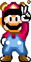 File:SFAC Raccoon Mario.png