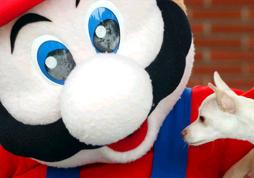 File:SMA2 Promotion PAWS 1.jpg