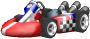 Icon of the Standard Kart M for Time Trial records from Mario Kart Wii