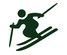 File:MSOWG Dream Ski Cross.png