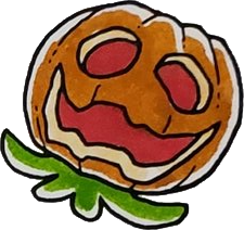 Jumping Pumpkin Plant