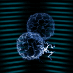 File:MAPS Question Block 4-2.png