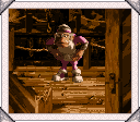 Wrinkly DKC3 Photo Album.png