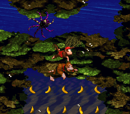 File:Coral Capers DKC hidden area.png