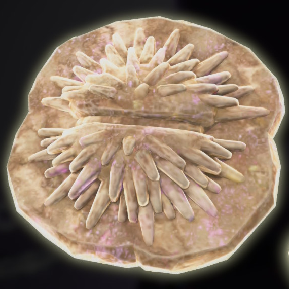 File:DKB Fossil Sea Urchin.png