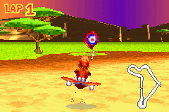 DKP03 Target Balloon screenshot - Wild Wilderness.png