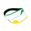 Icon for a gear item from Mario Golf: World Tour