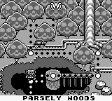 Parsley Woods in Wario Land: Super Mario Land 3