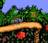 Rambi the Rhino approaching the letter N of Jungle Hijinxs in the Game Boy Color version of Donkey Kong Country.