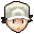 A stock icon from Super Smash Bros. Brawl
