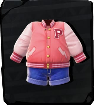 File:DKB Pastel Feast Apparel icon.jpg