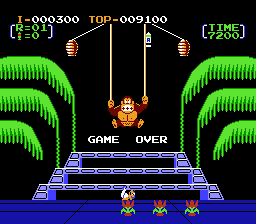 File:Donkey Kong 3 Game Over.png