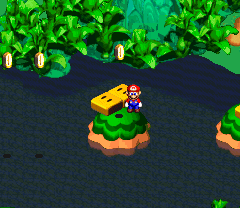 Second 10-Coin found in the first scene of Rose Way of Super Mario RPG: Legend of the Seven Stars.