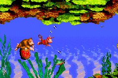 File:Coral Capers DKC GBA.png