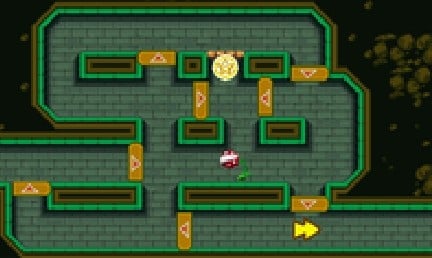 File:NSMB W2-3 2nd Star Coin.jpg