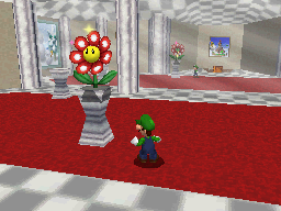 File:SM64DS Mirror Room.png