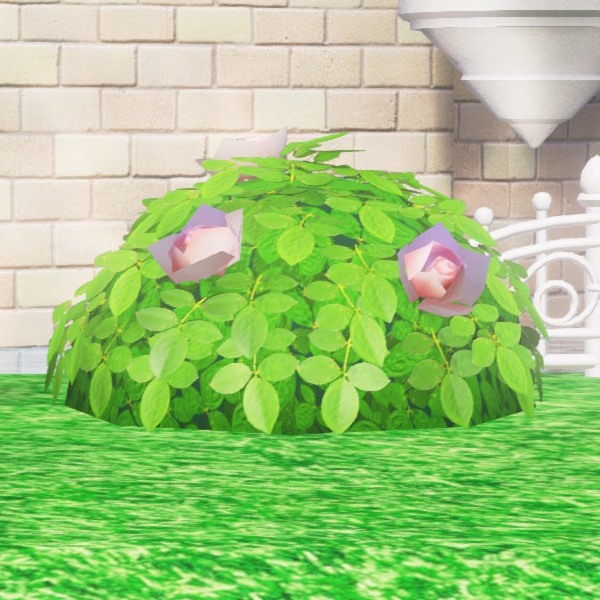 File:SMO Screenshot Flower (Mushroom Kingdom) 2.jpg
