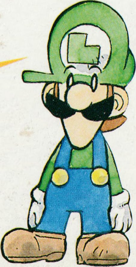 Artwork of Luigi from the back cover of NSW2K Hand Book