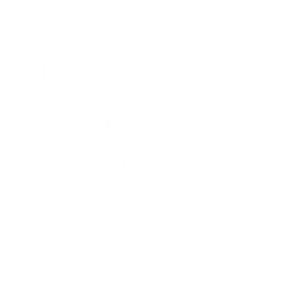 File:PPS Ensemble Ninja Icon.png