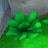 Squared screenshot of a bush from Super Mario 3D Land.