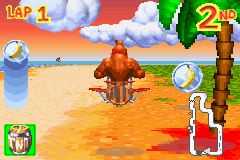 Screenshot of a coin in Diddy Kong Pilot's 2003 build
