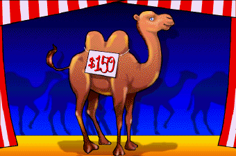 File:Ourika Camel Market MIMMac.png