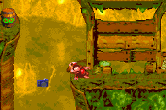 The location of the photograph in Stop & Go Station in Donkey Kong Country for the Game Boy Advance