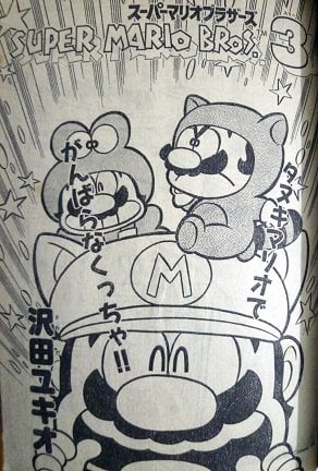 File:Chapter 2 cover SMB3.jpg