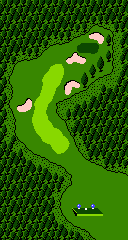 In-game map of a hole in Golf: Japan Course