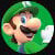 File:MTA Luigi CSS icon.jpg