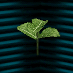 File:MAPS Question Block 2-5.png