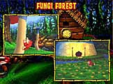 File:DKTV Fungi Forest.jpg