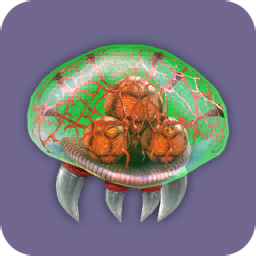 File:Metroid Profile Icon.png