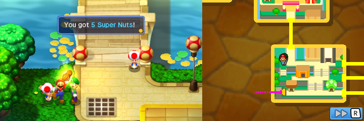 File:Toad Town (MLBISBJJ) (5 Super Nuts).png
