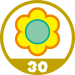 File:SMR Remix 10 30 cheevo.png