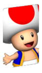 Toad Selection Screen MP8.png
