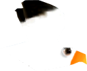 File:SeagullMK64.png