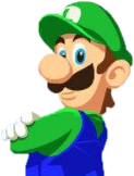Luigi Portrait
