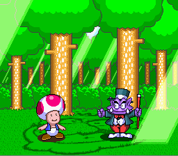 Toad and Katsini standing in Wario's Woods, as seen in a Wario's Woods cutscene.