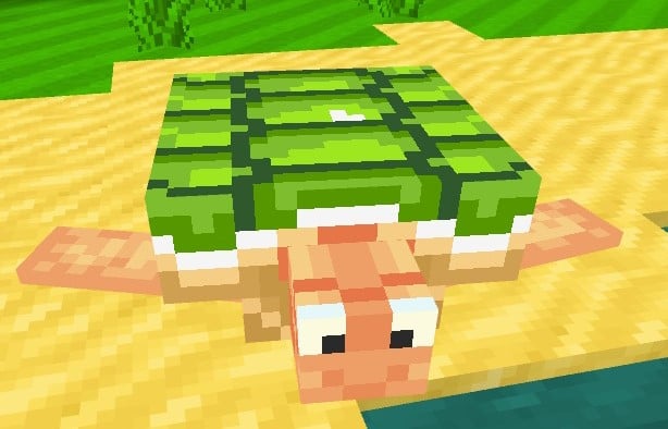 File:Minecraft Mario Mash-Up Koopa Troopa Turtle.jpg