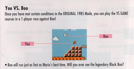 Super Mario Bros Deluxe manual scan about You VS Boo