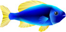 SMS Asset Model Blue Fish.png