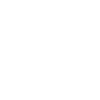 Toy tortoise