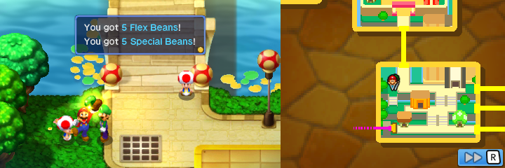 File:Toad Town (MLBISBJJ) (5 Flex Beans and 5 Special Beans).png