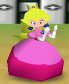 File:Peach's Hide and Sneak Action.png